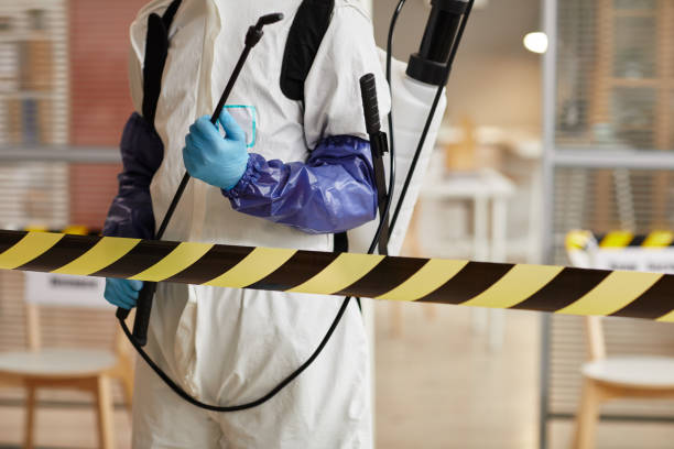 Professional Sewage Cleanup technician working in Lake Milton, OH